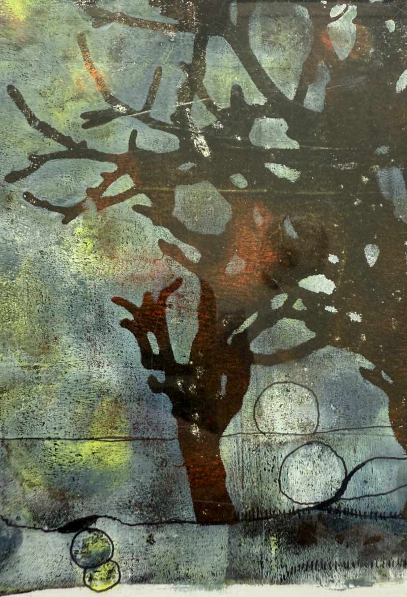 Sort Skov 1
