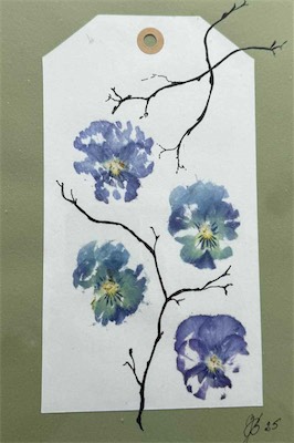 HammerHornviol 1
