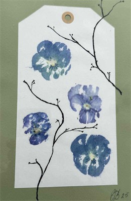 HammerHornviol 2